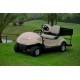 Electric Golf/Utility Car for 2 People (EQ9022-C1)